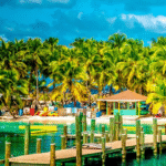 Nassau Private Transportation Services