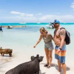 rose-island-swimming-pigs-bahamas
